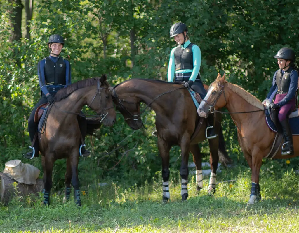 Equestrian Center Mac