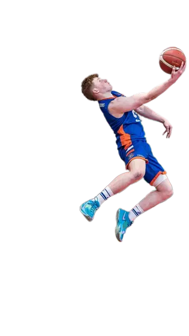 Limerick Lions Basketball Club