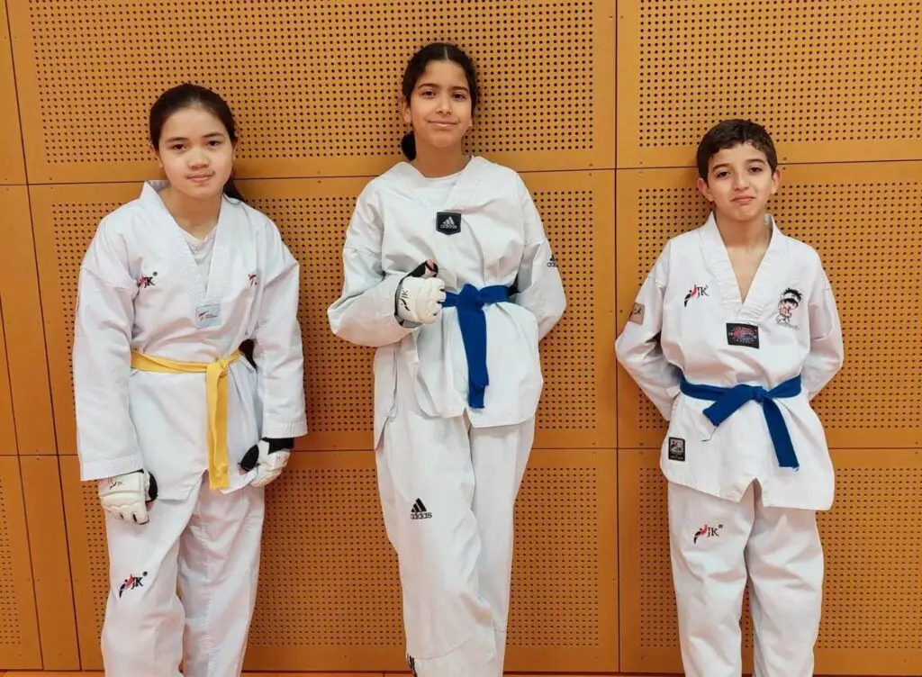Taekwondo L'isle D'abeau