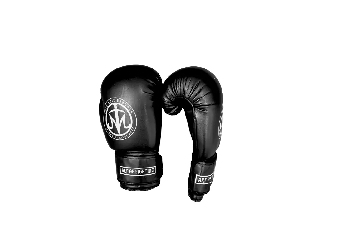 Art Of Fighting Academy