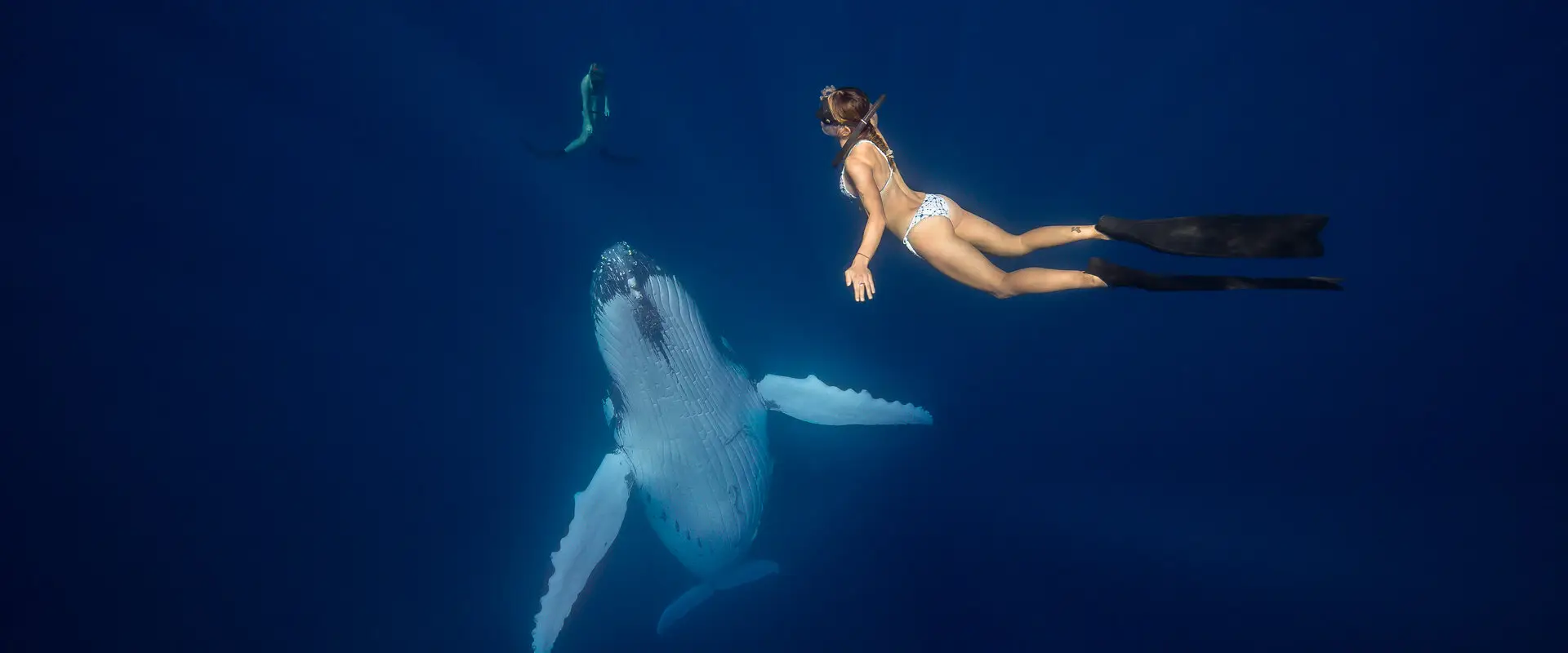 Get Down Freediving