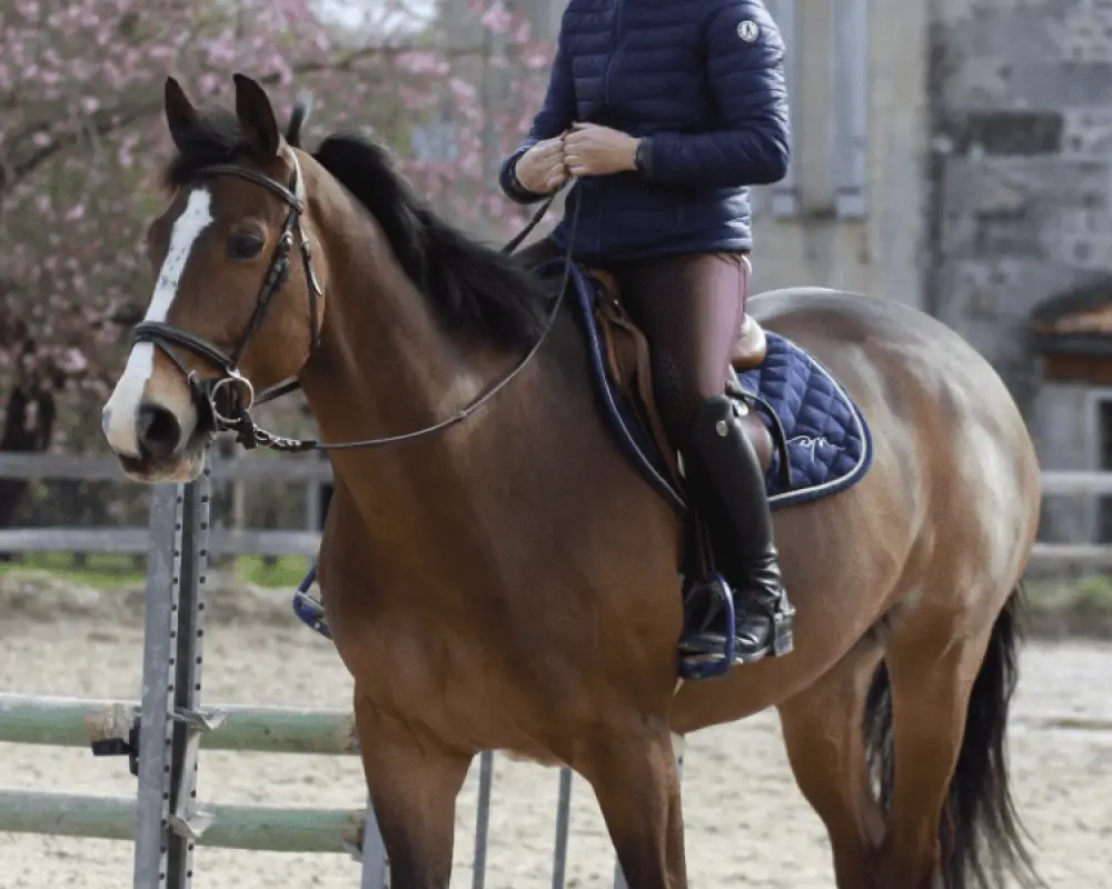 CENTRE EQUESTRE LES ALLARDS