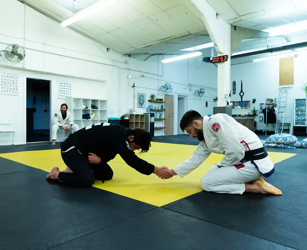 Elements Brazilian Jiu Jitsu