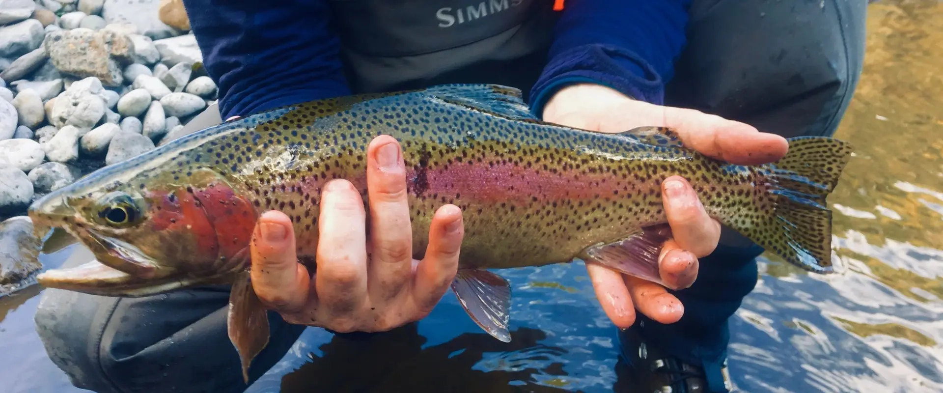Trout Tracker Fishing & Guide Company