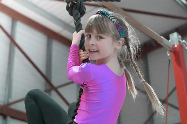 D.P. Gymnastics