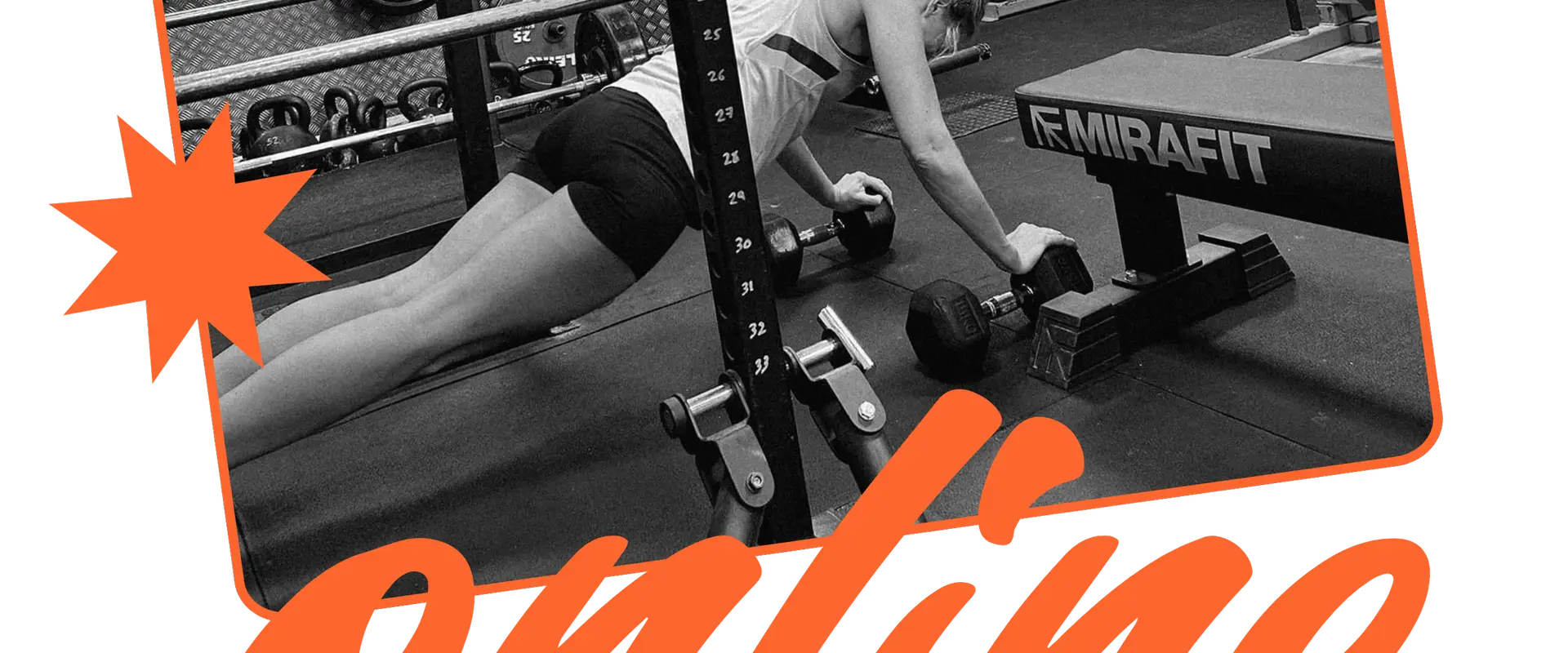 Dynamo Gym