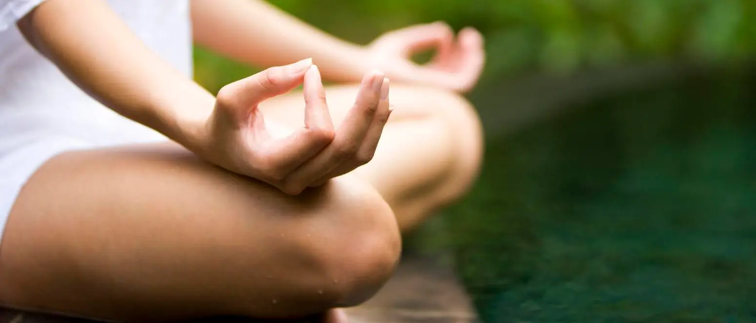 Soul Tree Yoga Studio