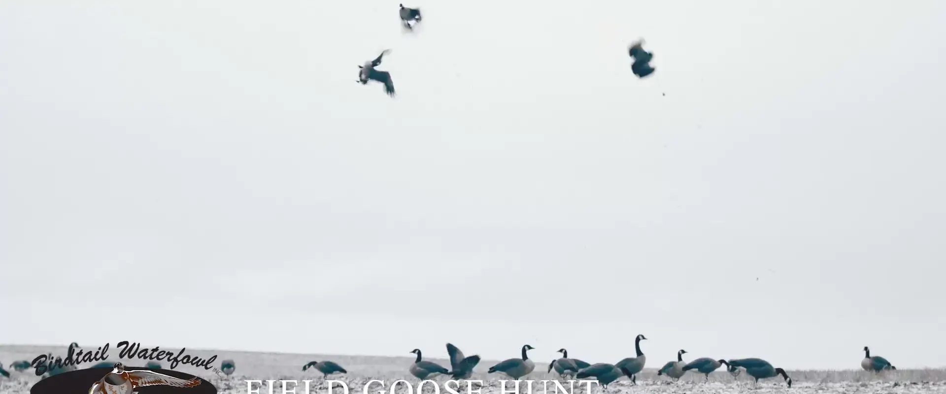 Birdtail Waterfowl Inc