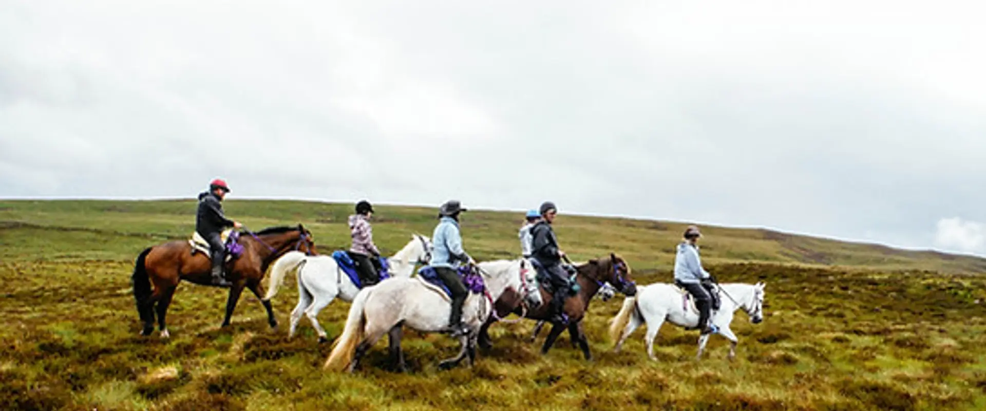 Highlands Unbridled Trail Riding and Trekking Centre
