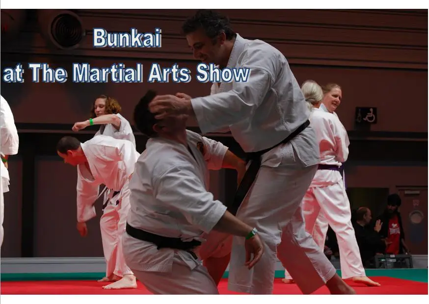 Bunkai