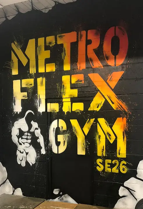 Metro Flex Gym London