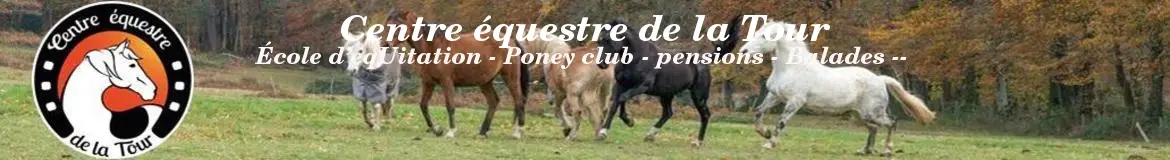 CENTRE EQUESTRE DE LA TOUR