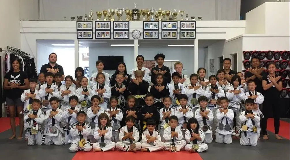 Apex Martial Arts