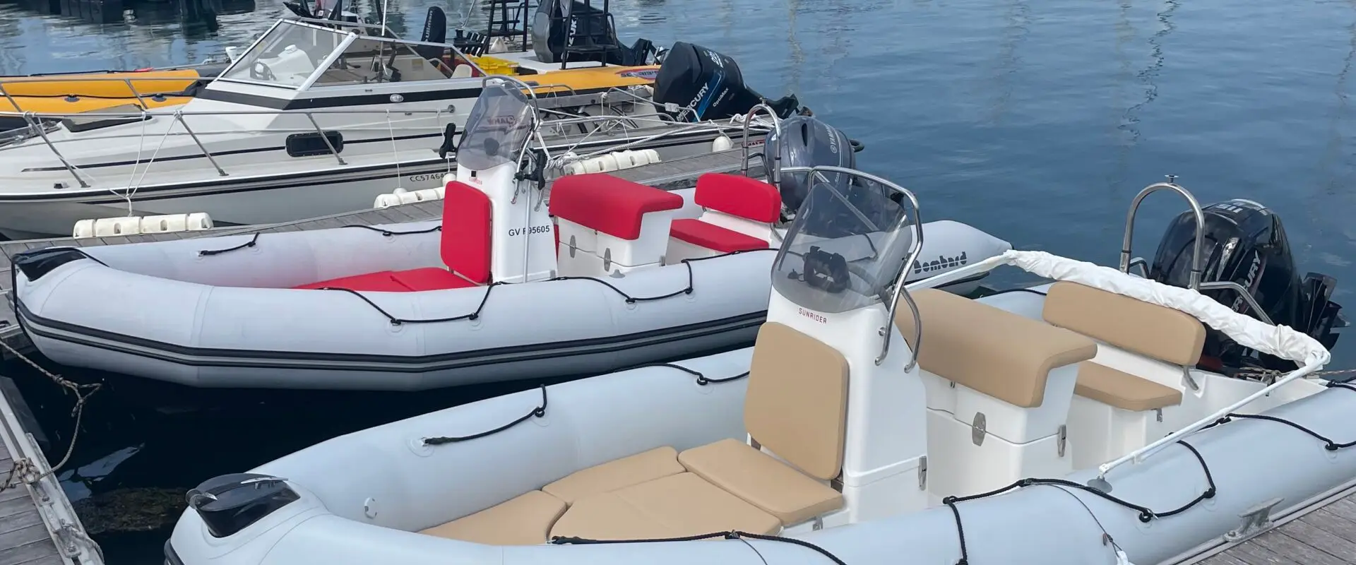 L'ALBATROS SARL