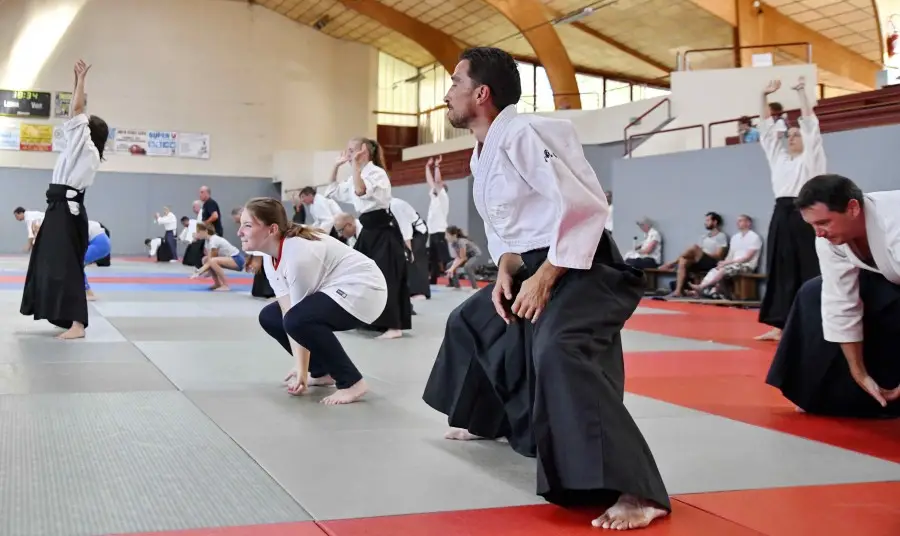 European School D'aïkido Traditionnel