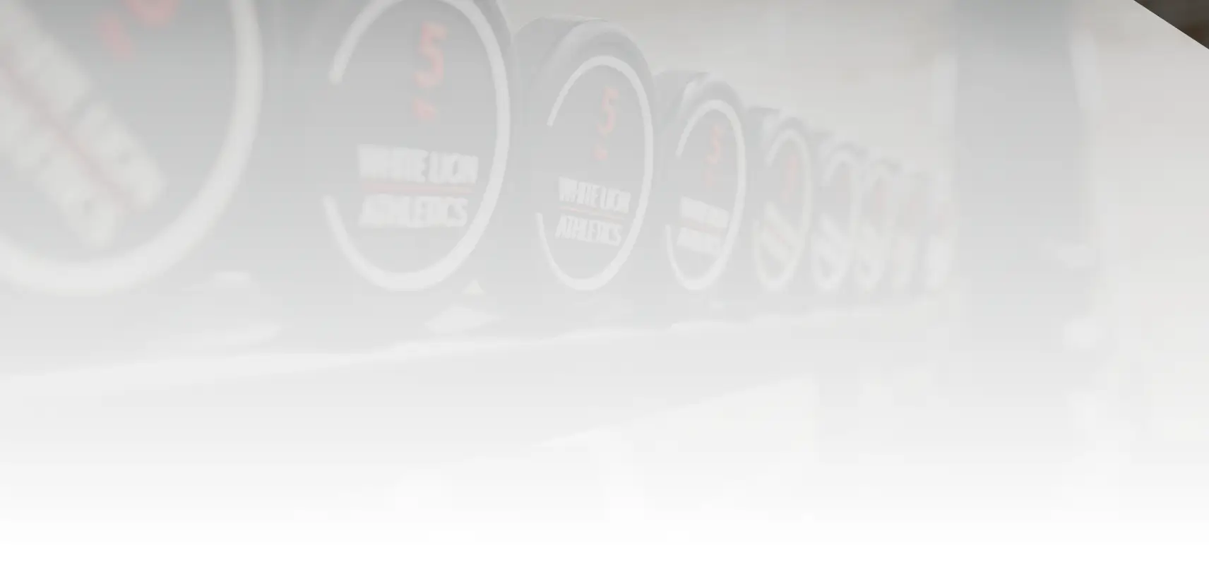 White Lion Strong - Gym