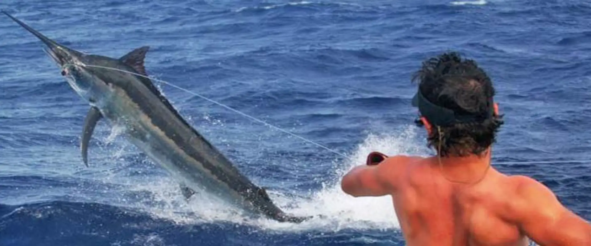 Big Game: Fish - Dive - Film