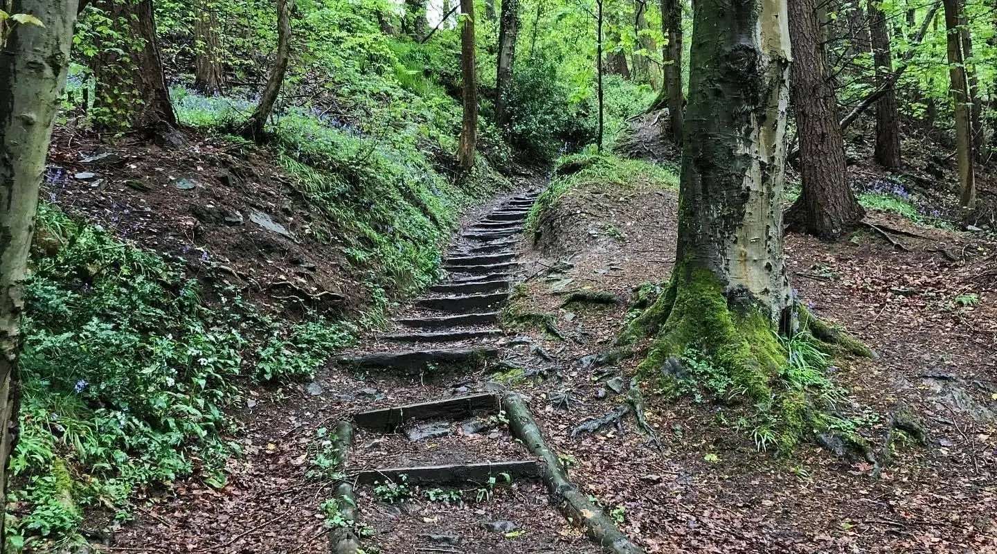 Bee-lieve in You Wellbeing with Sue