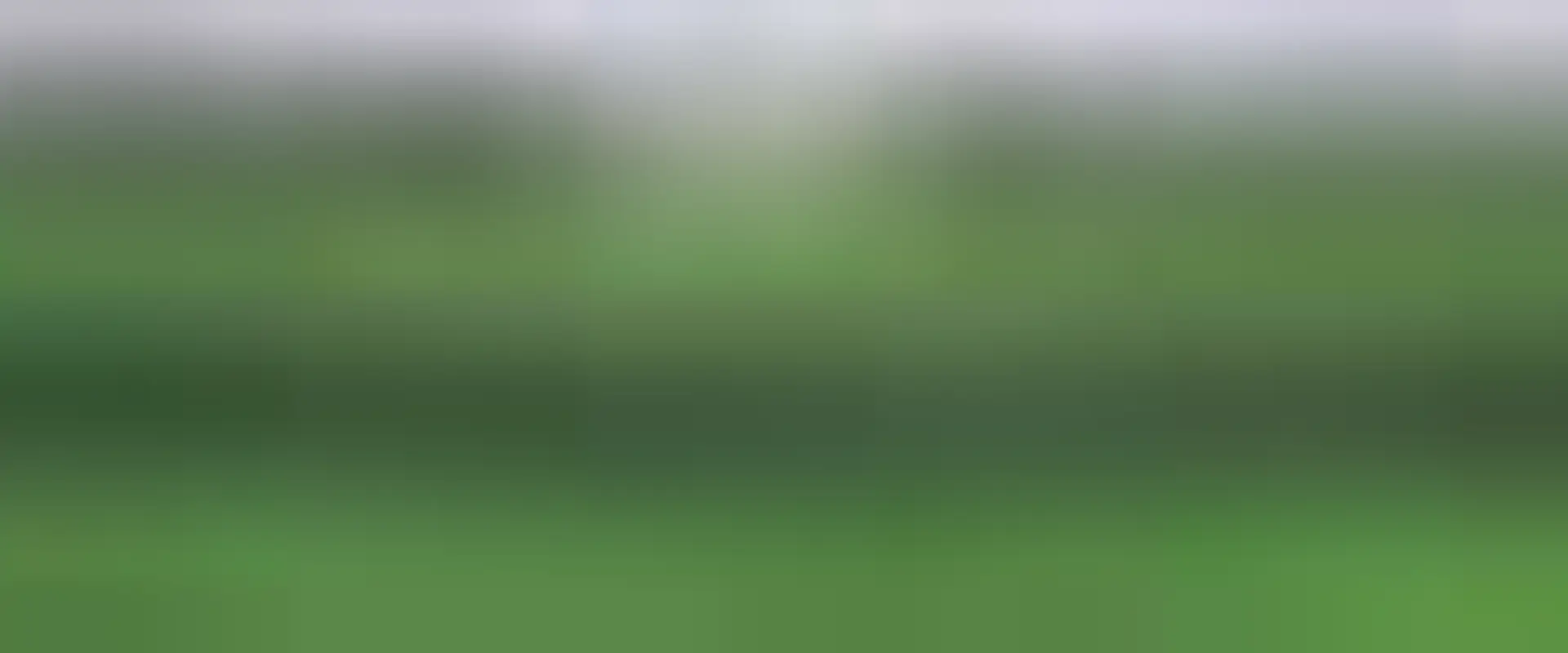 FAST Football Academy