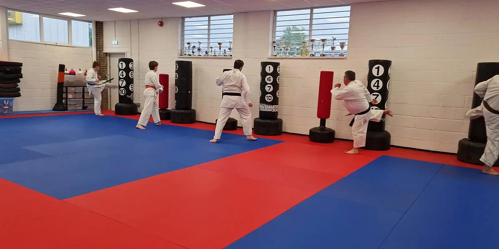 Shin Gi Tai Martial Arts Academy