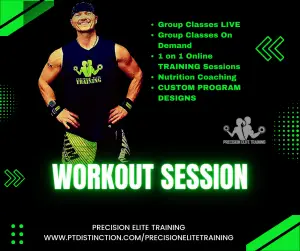 Precision Elite Training