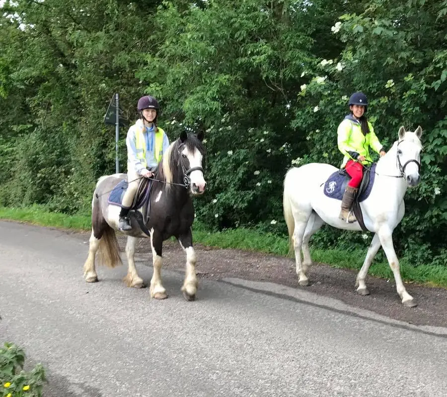 Minnismoor Riding Stables