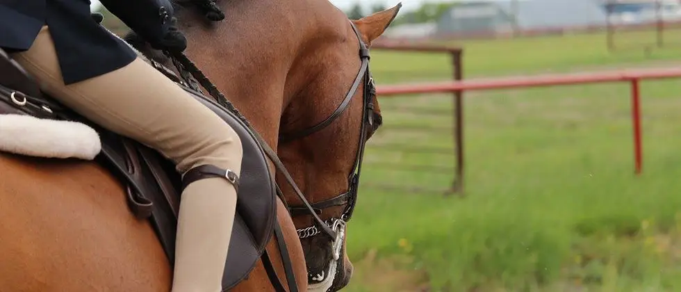 Rogers Riding Academy