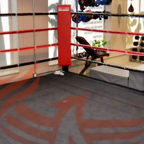 Phoenix Boxing