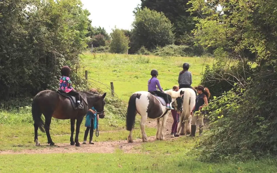 Mottingham Farm Riding Centre