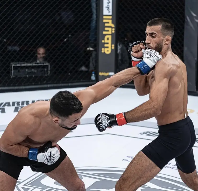 Impact Fight Avignon : Jiujitsu, Grappling, MMA, Kickboxing, Judo, Cross-training
