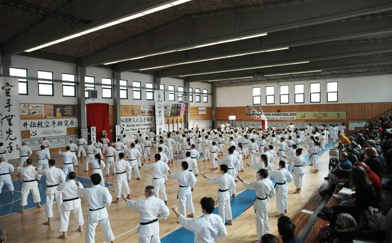 TOKON Karate - Milano