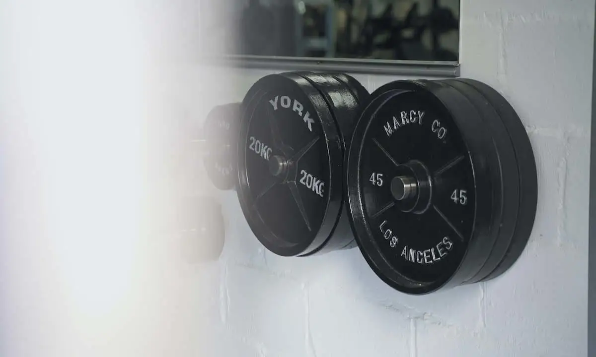Everest Gym