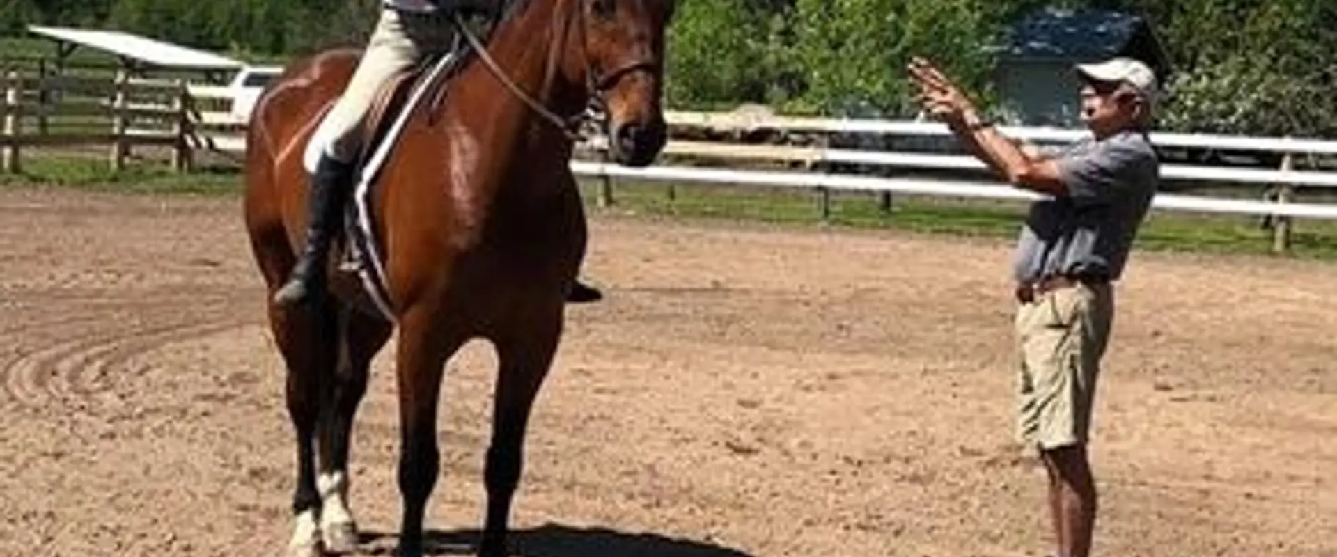 Xenora Horse Empowerment