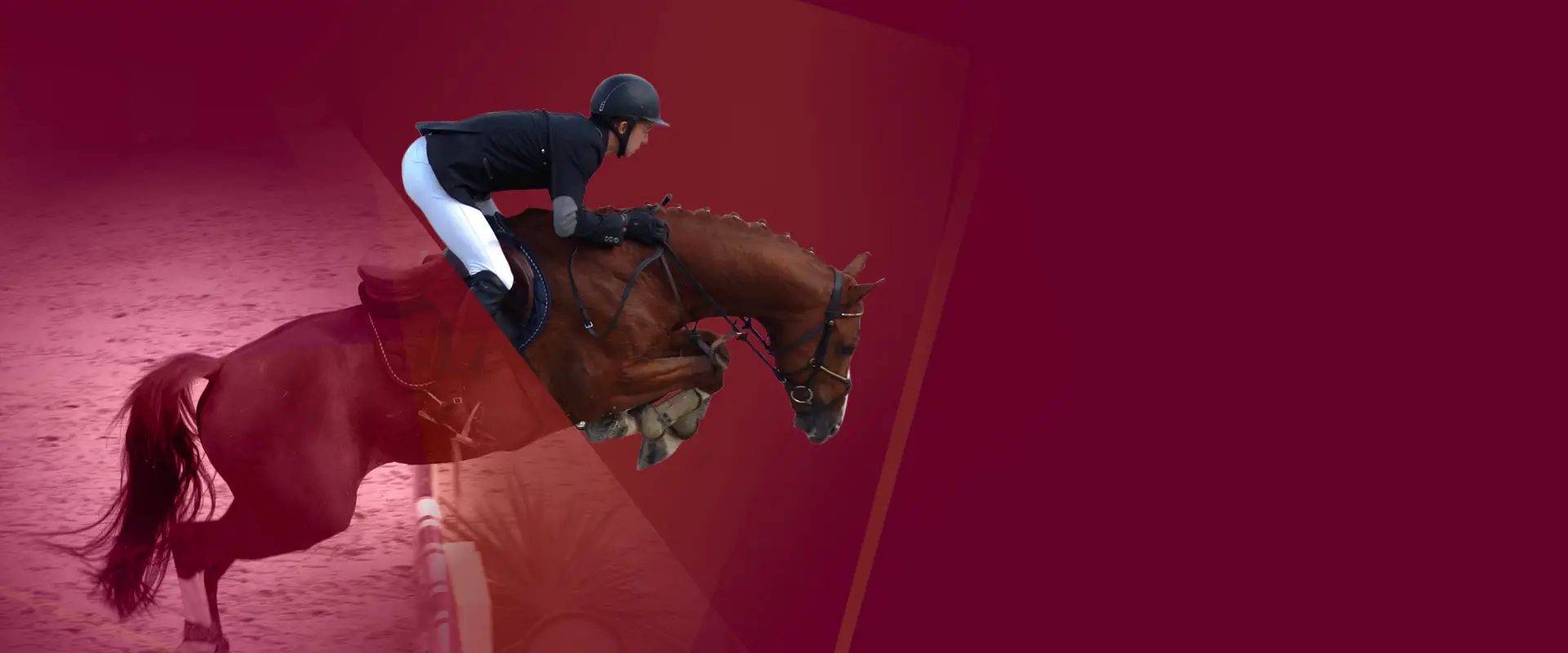 Scea Du Haras D'eglefin
