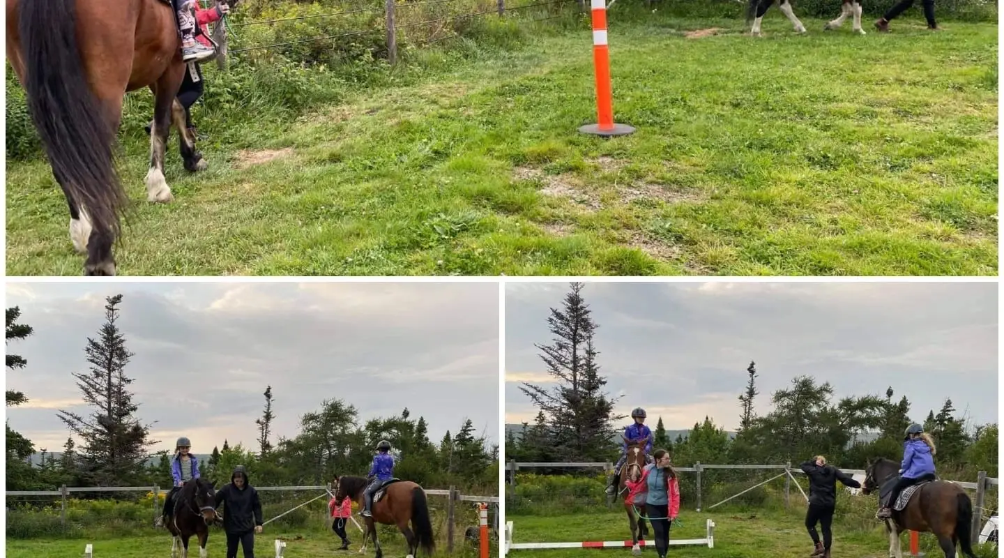 Earle's Riding Horses & Fun Park