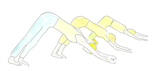 Delphine Viatte Flachat