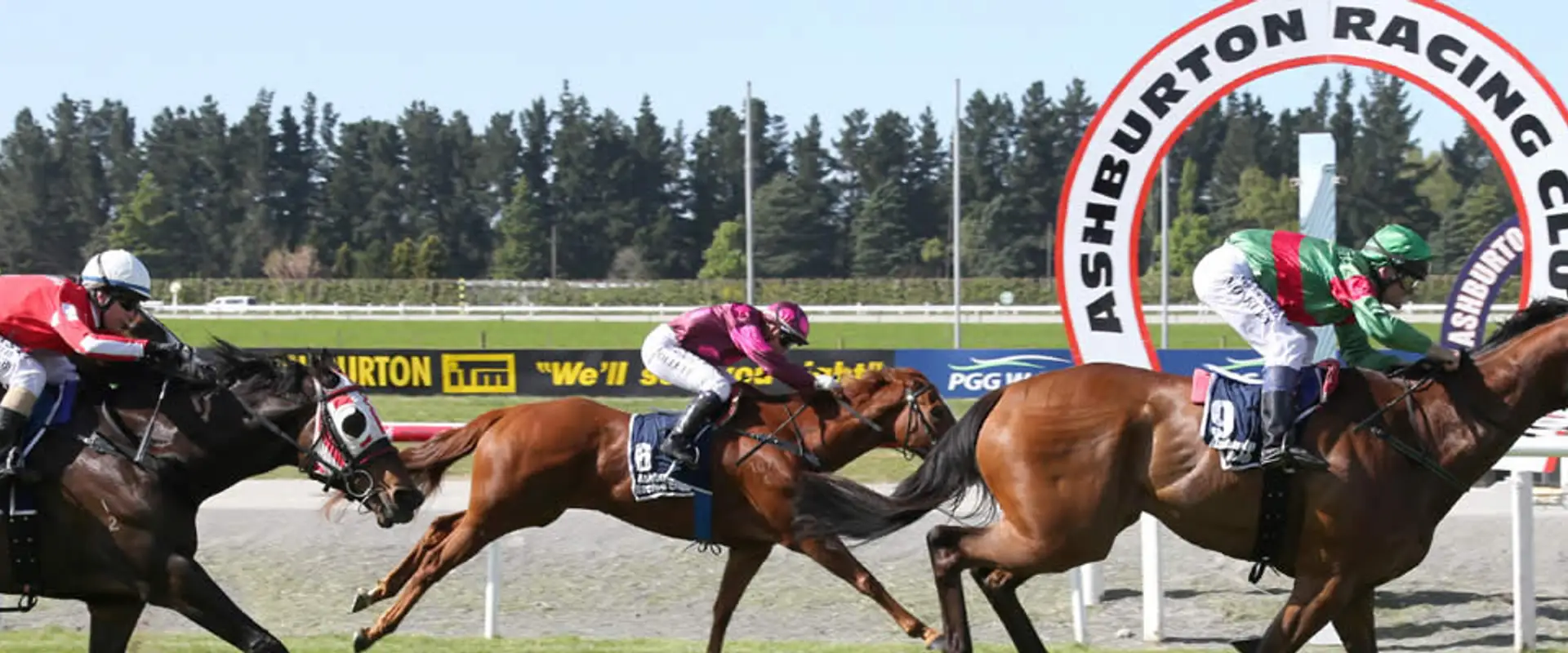 Ashburton Trotting Club