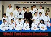 World Martial Arts: Gracie Barra Brazilian Jiu Jitsu (BJJ) & Taekwondo