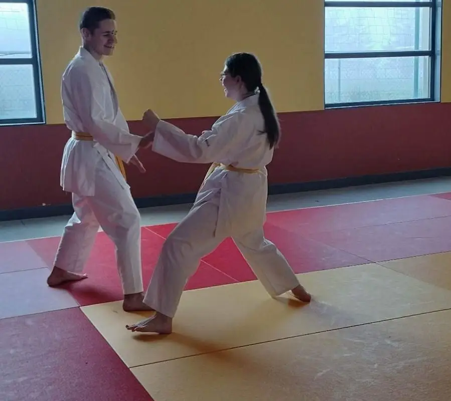 Ecole Sportive De Karate Vendeuvre