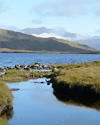 Fish Lochaber