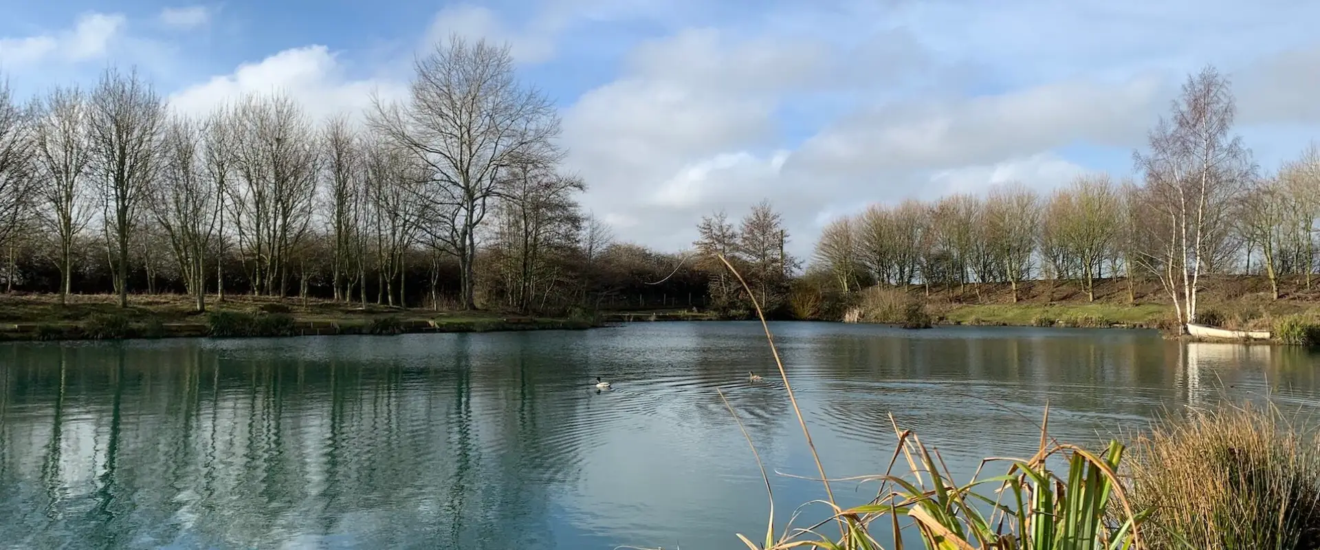 Bradley Lakes
