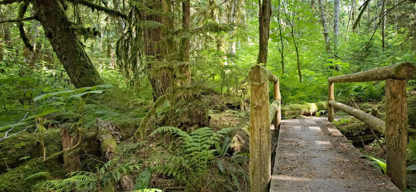 Alice Lake Provincial Park