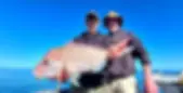 Anglers Fishing Charters