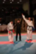 Miller's Taekwon-Do Academy