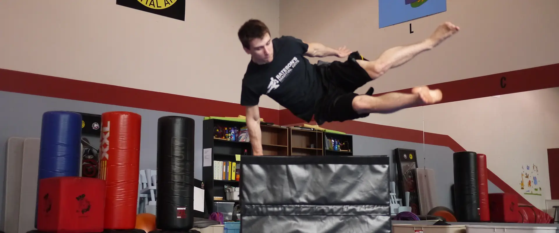 Bateson's Martial Arts
