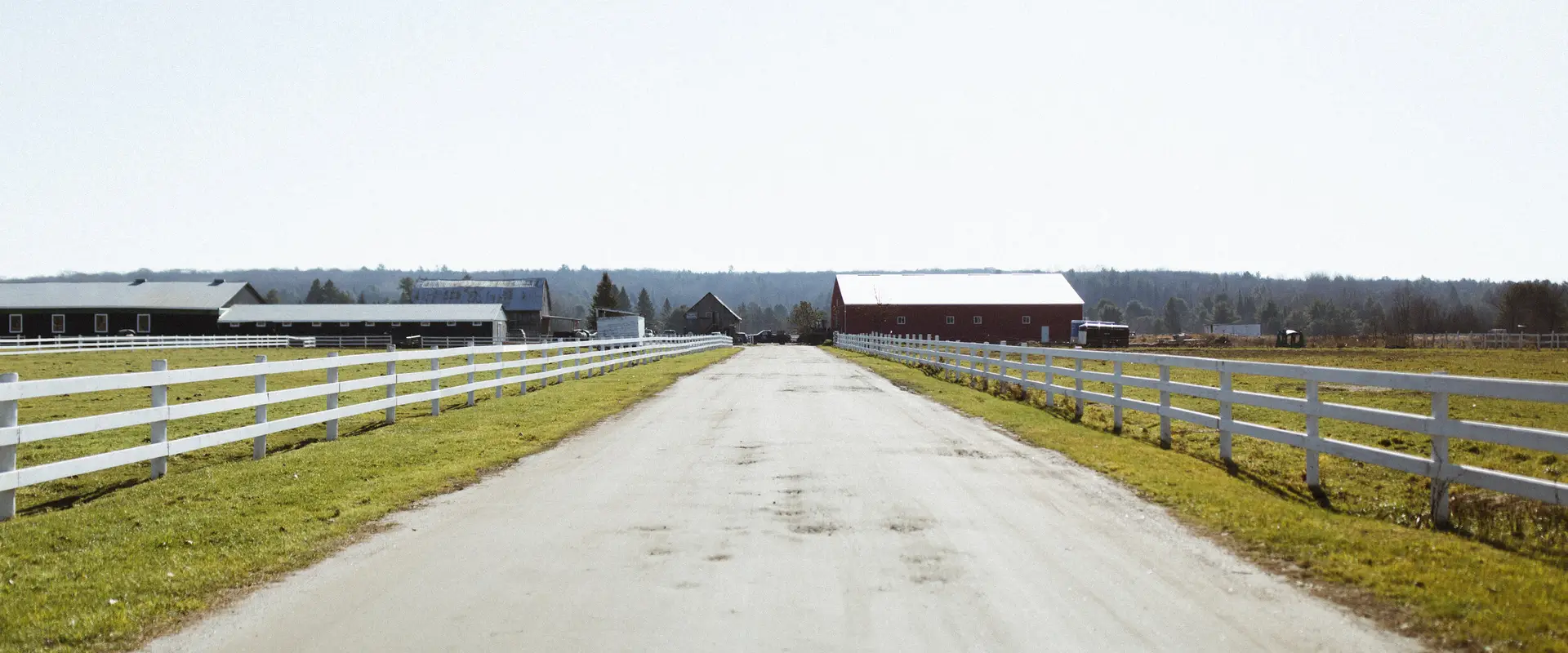 Maple Lane Farms