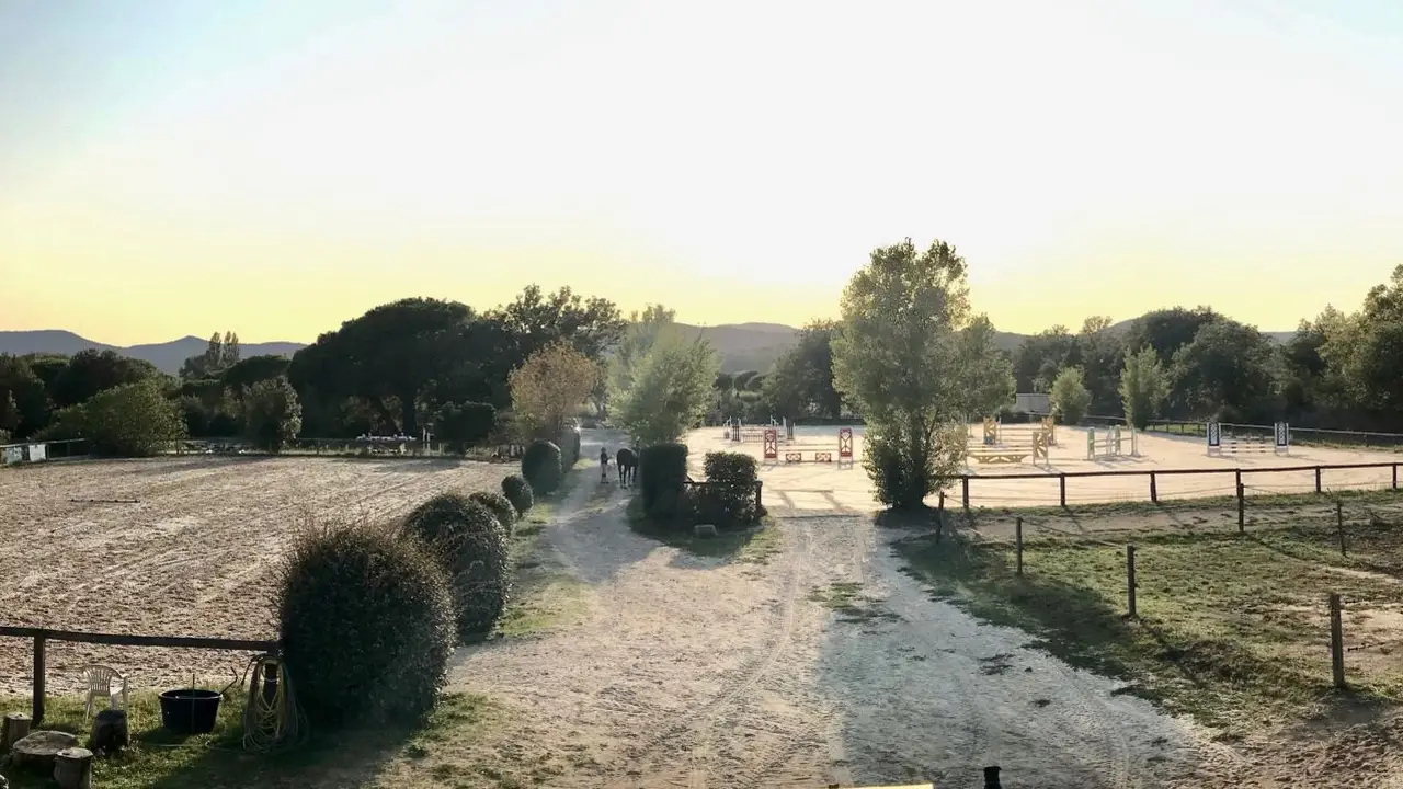 Mdme Stables