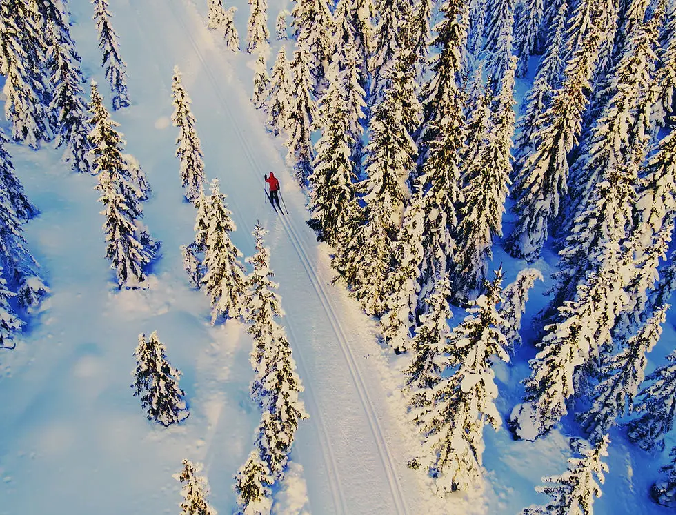 Kelowna Nordic Ski and Snowshoe Club