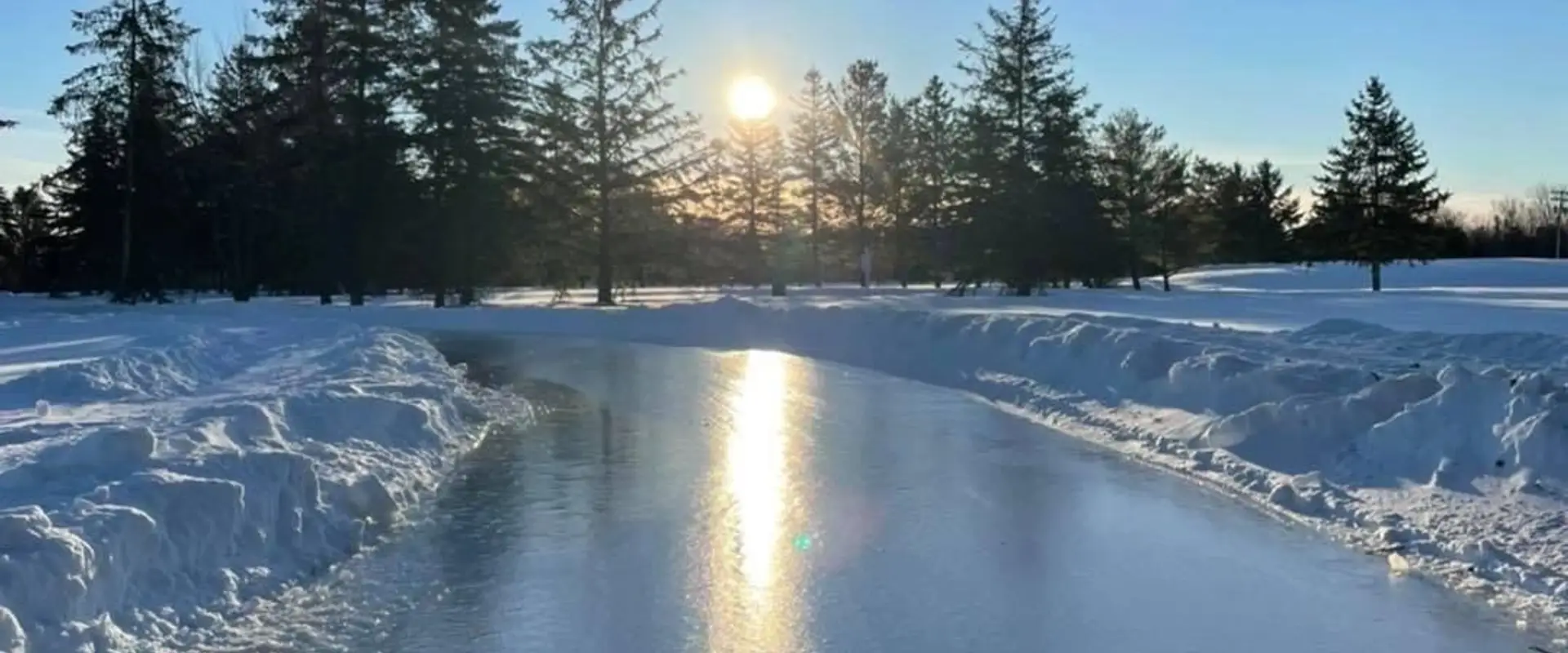 The Little Penguin Trail