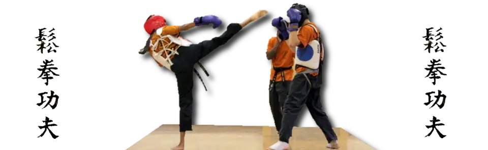 Sung Chuan Kung Fu (New Cross)